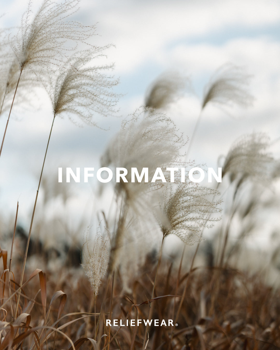 12/26（金）-1/4（日） 年末年始休業のお知らせ