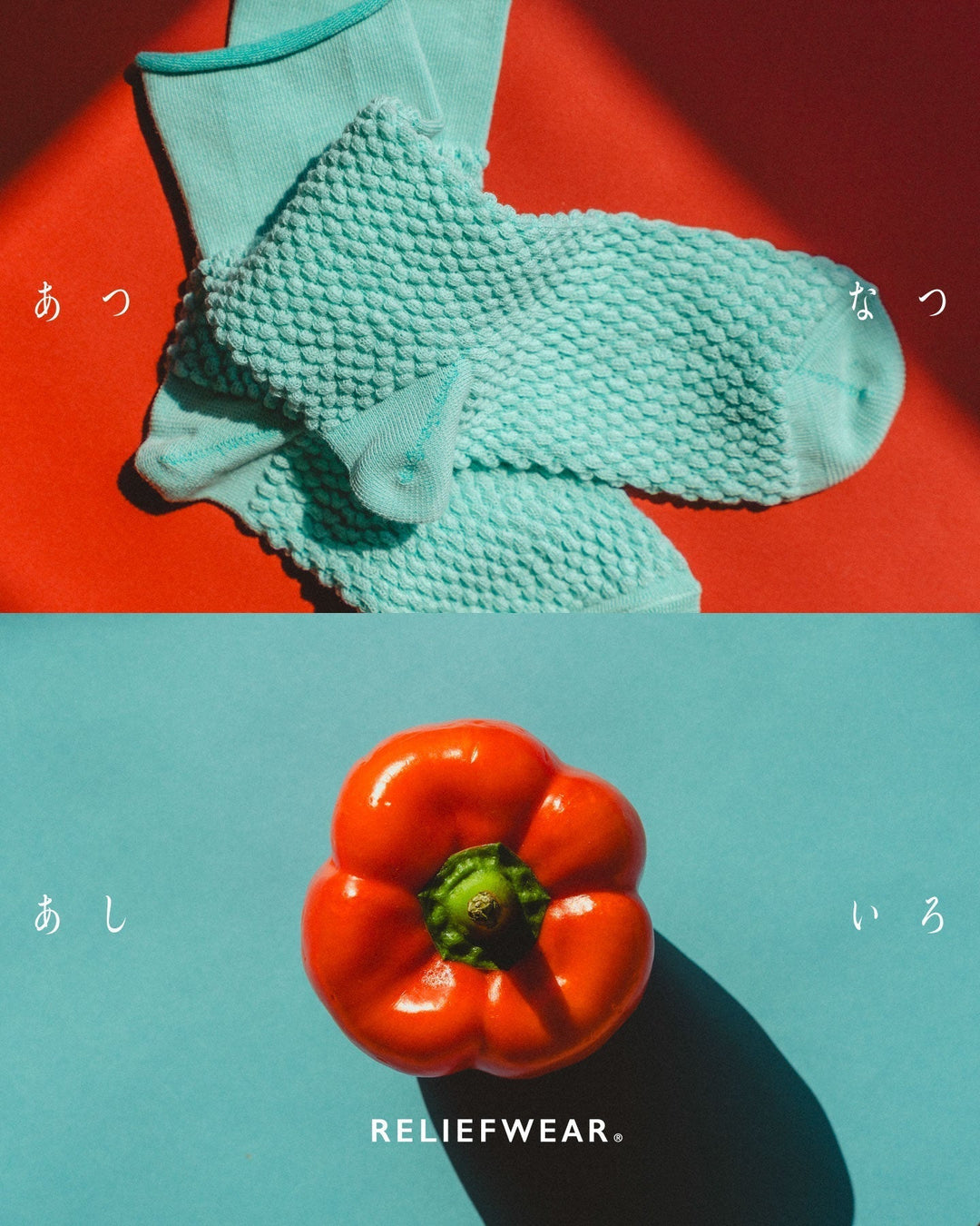 SUMMER VIVID COLOR