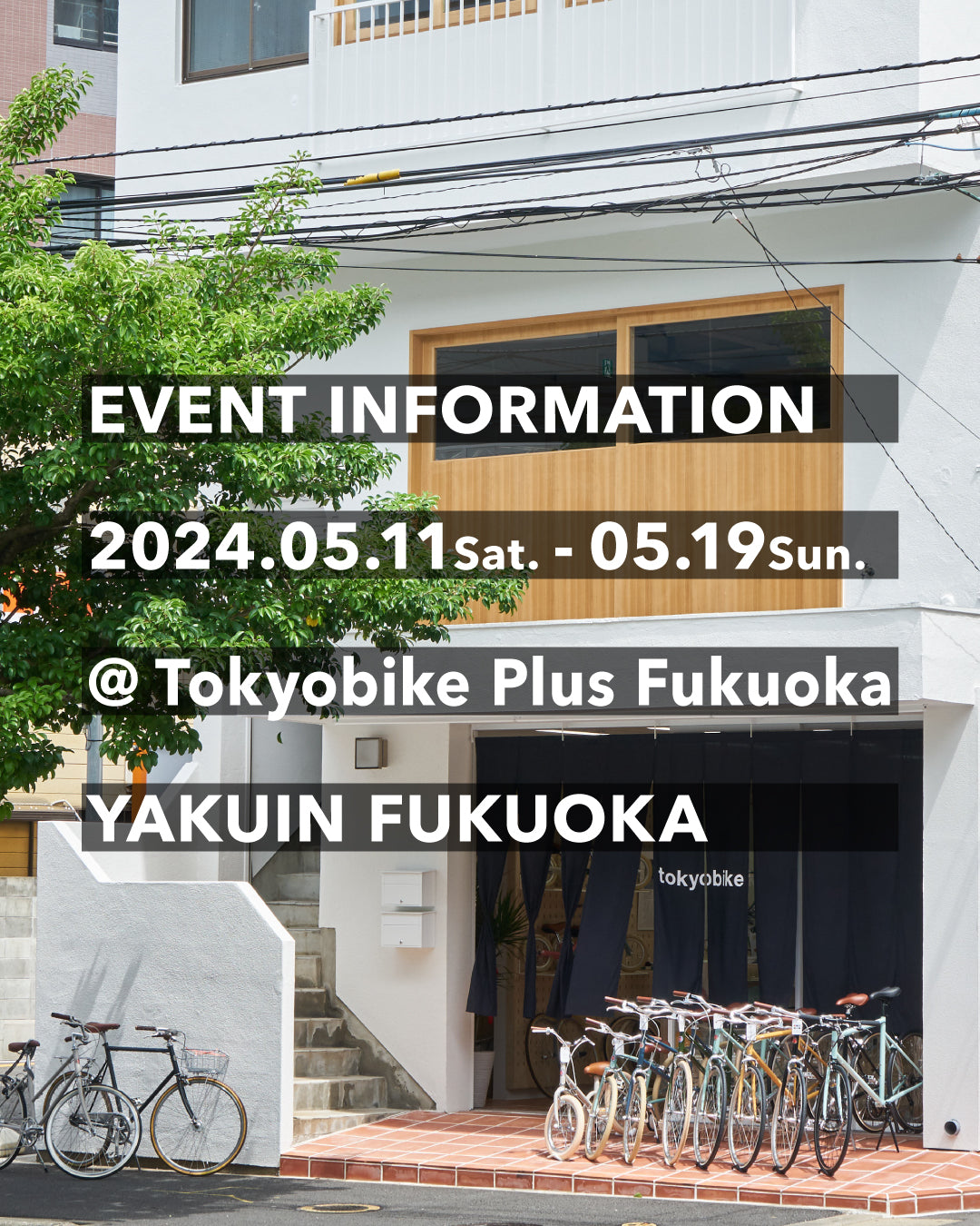 5/11-5/19 福岡・薬院のTokyobike Plus Fukuokaにて、POP UP STORE開催
